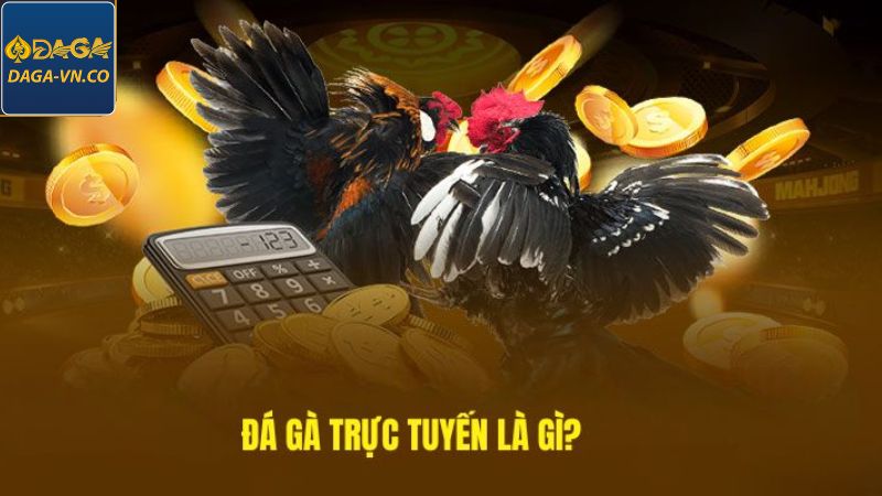 Đá Gà Trực Tuyến - Tham Gia Cá Cược Tại DAGA Dễ Dàng 2 Khái quát về hình thức chọi kê trực tuyến tại nhà cái